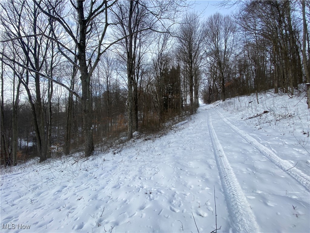 Pugh Ridge Property Photo 28