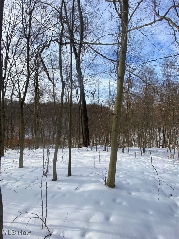 Pugh Ridge Property Photo 29