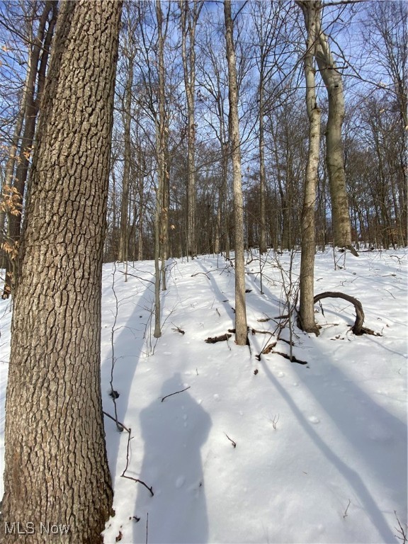 Pugh Ridge Property Photo 30