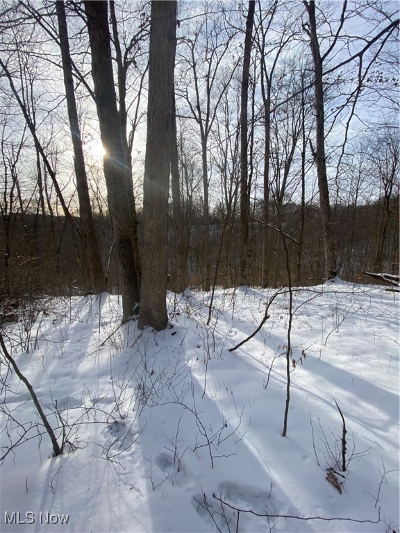Pugh Ridge Property Photo 31