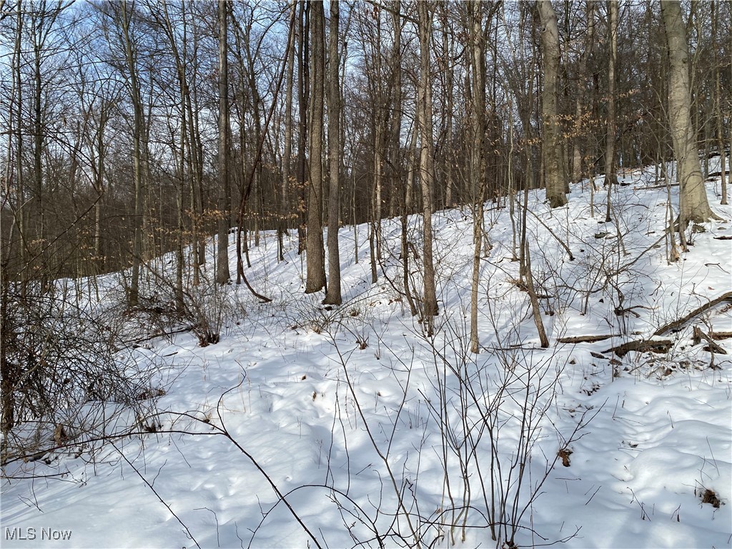 Pugh Ridge Property Photo 32