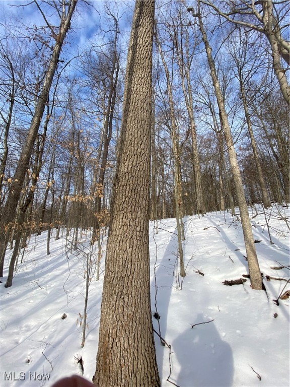 Pugh Ridge Property Photo 34