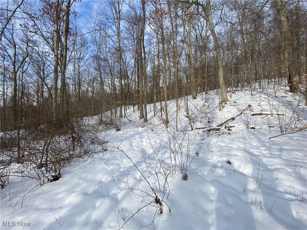 Pugh Ridge Property Photo 35
