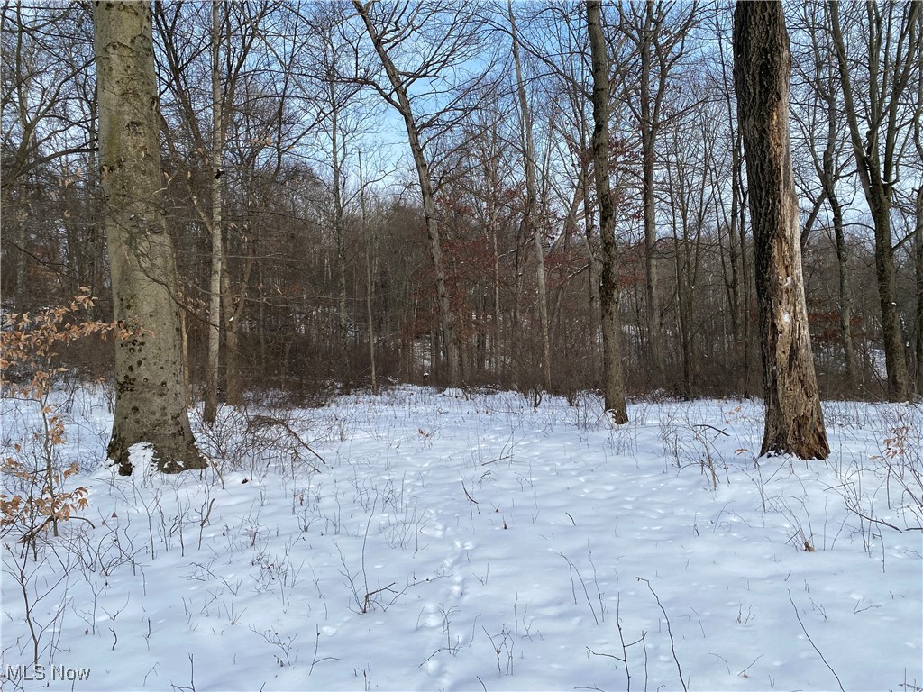 Pugh Ridge Property Photo 36