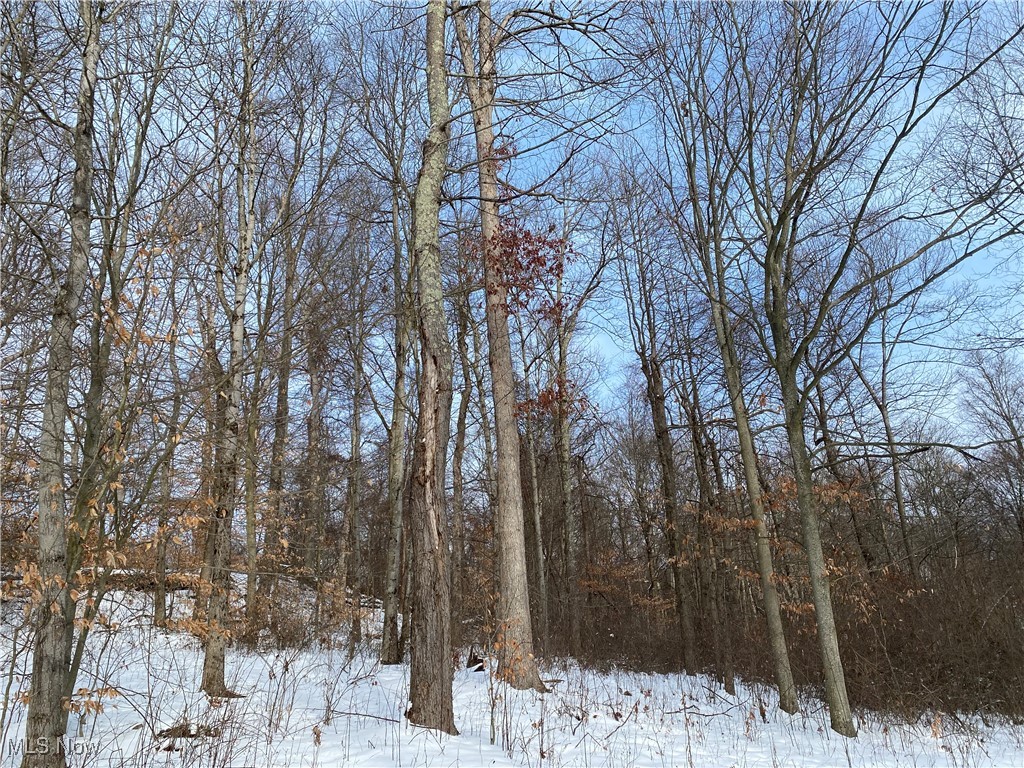 Pugh Ridge Property Photo 38