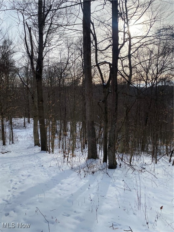 Pugh Ridge Property Photo 39