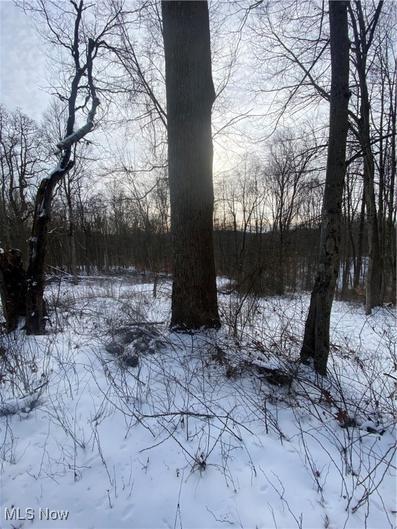 Pugh Ridge Property Photo 40
