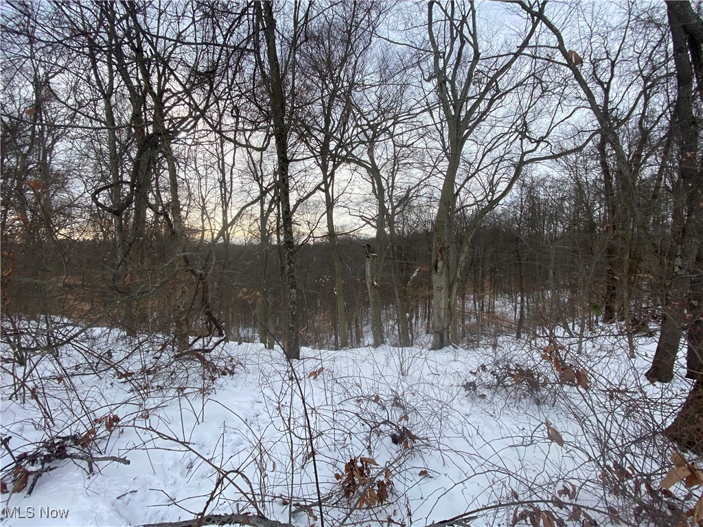 Pugh Ridge Property Photo 41