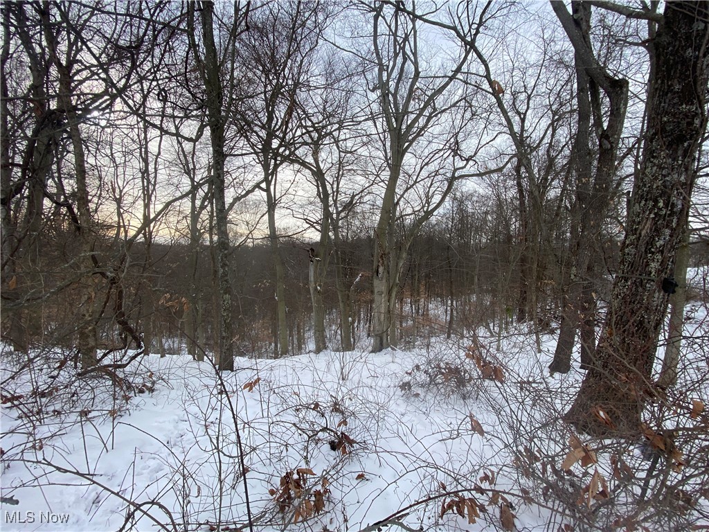 Pugh Ridge Property Photo 42