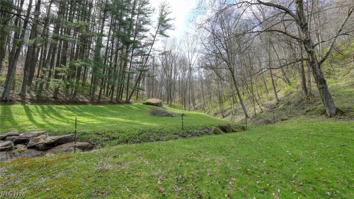 2250 Indian Camp Run Road Property Photo 43
