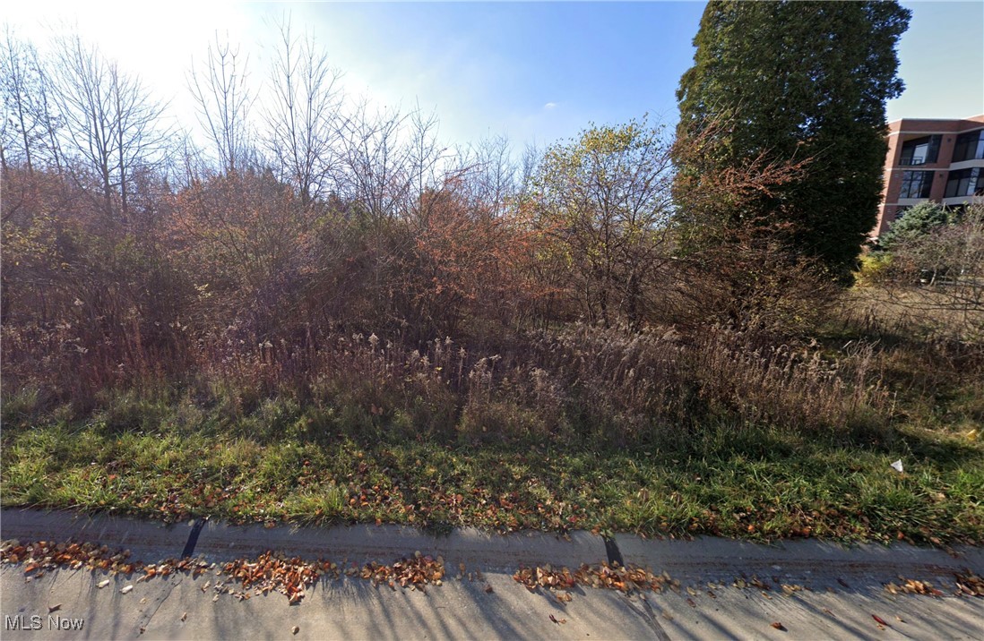 Kumho Drive Property Photo 11