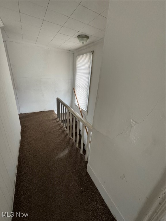 342 W Prospect Road Property Photo 20