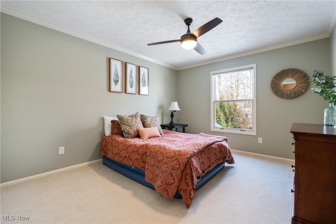 32378 Regency Court Property Photo 37