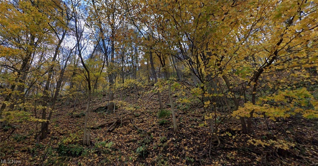 Tbd Middle Run Road Property Photo 1