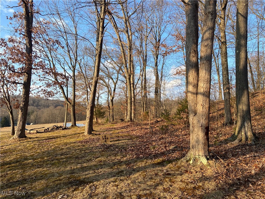 60734 Township Road 104 Property Photo 44