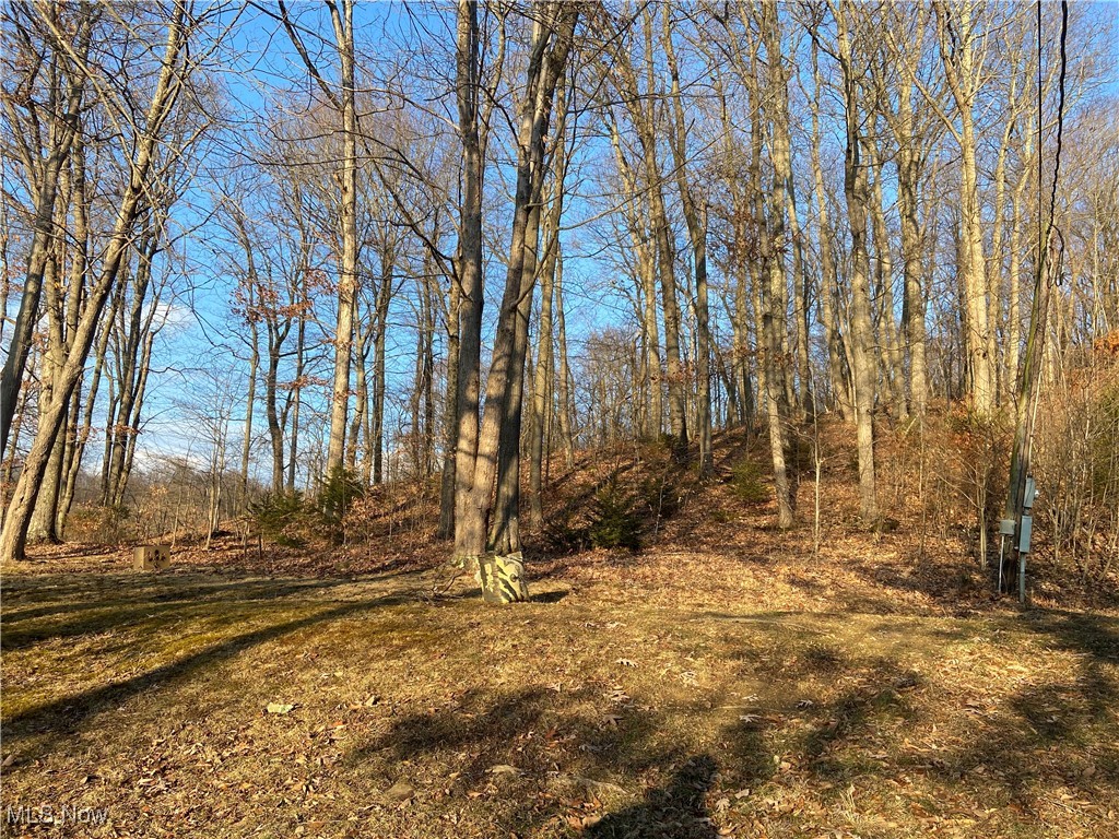 60734 Township Road 104 Property Photo 45