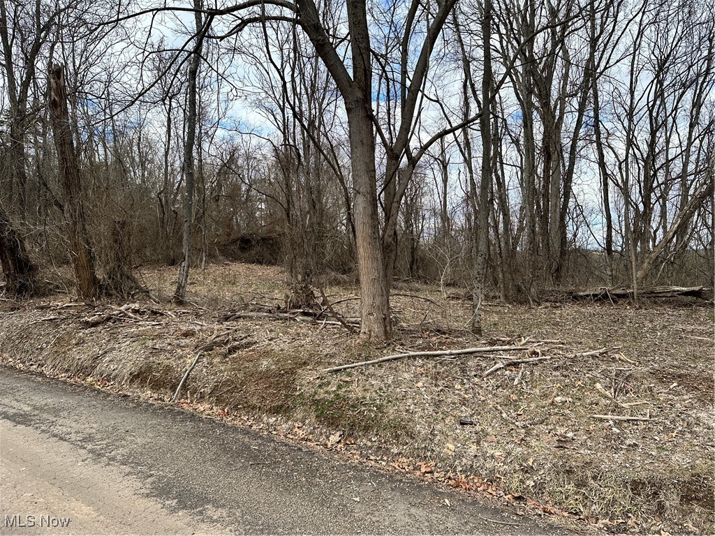 0 Fisher Ridge Road Property Photo 1