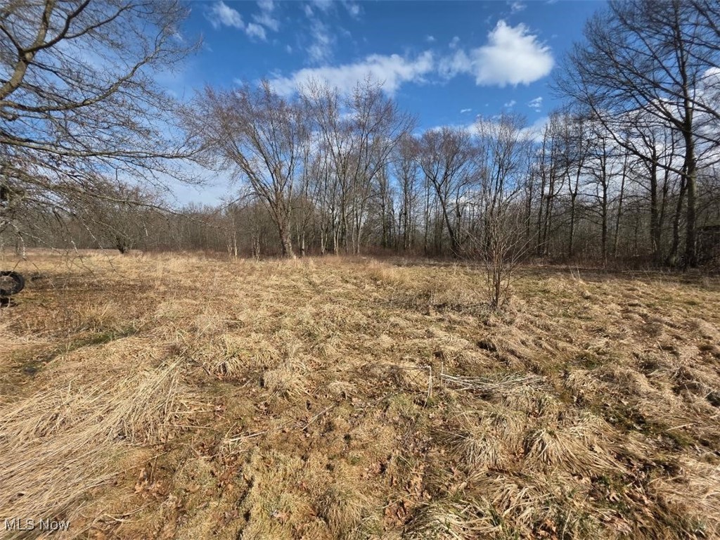 3366 Eagle Creek Road Property Photo 3