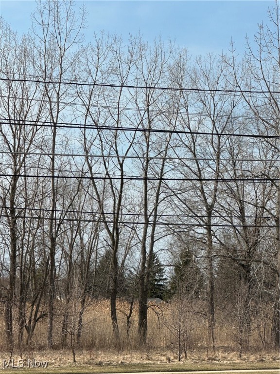 V/l Lost Nation Road Property Photo 6