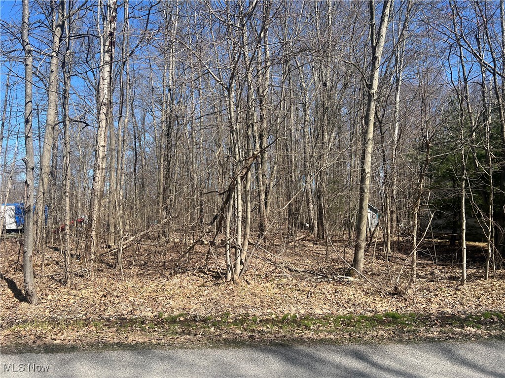 2114 N Park Lane Property Photo 1