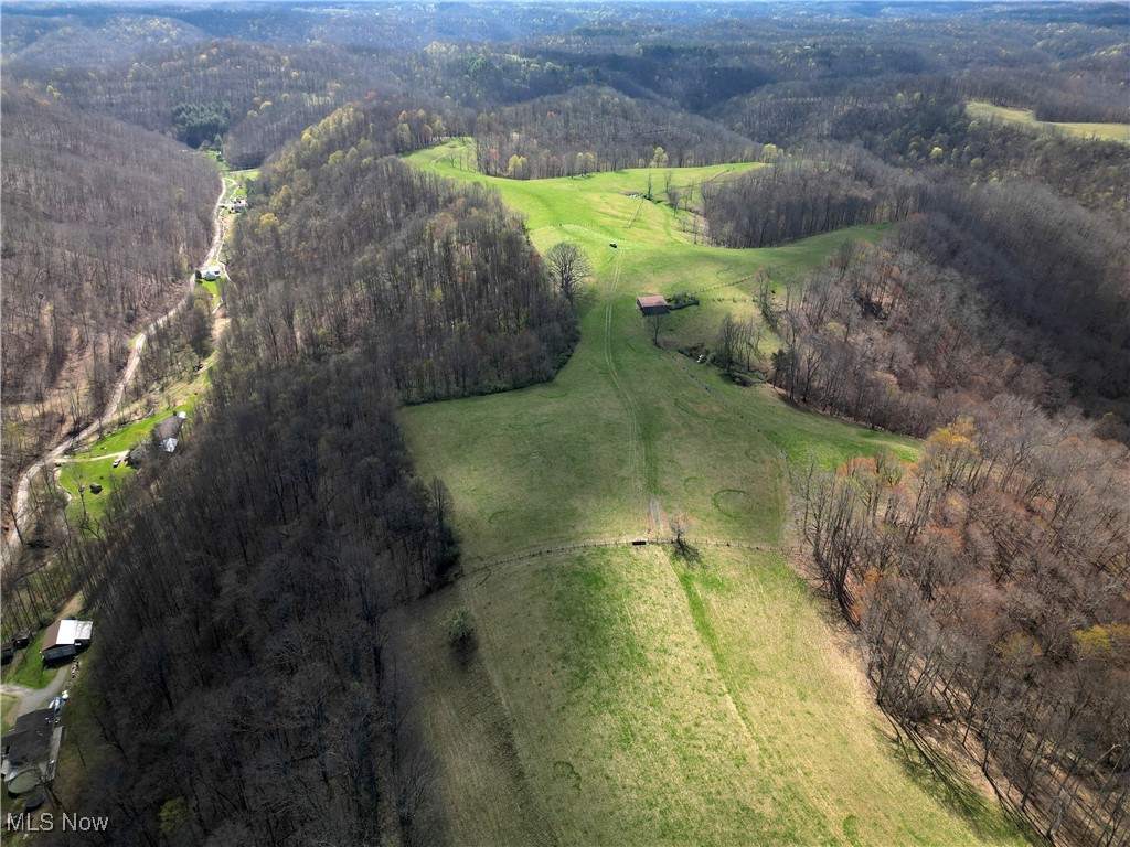 55 Mud Lick Run Property Photo 1