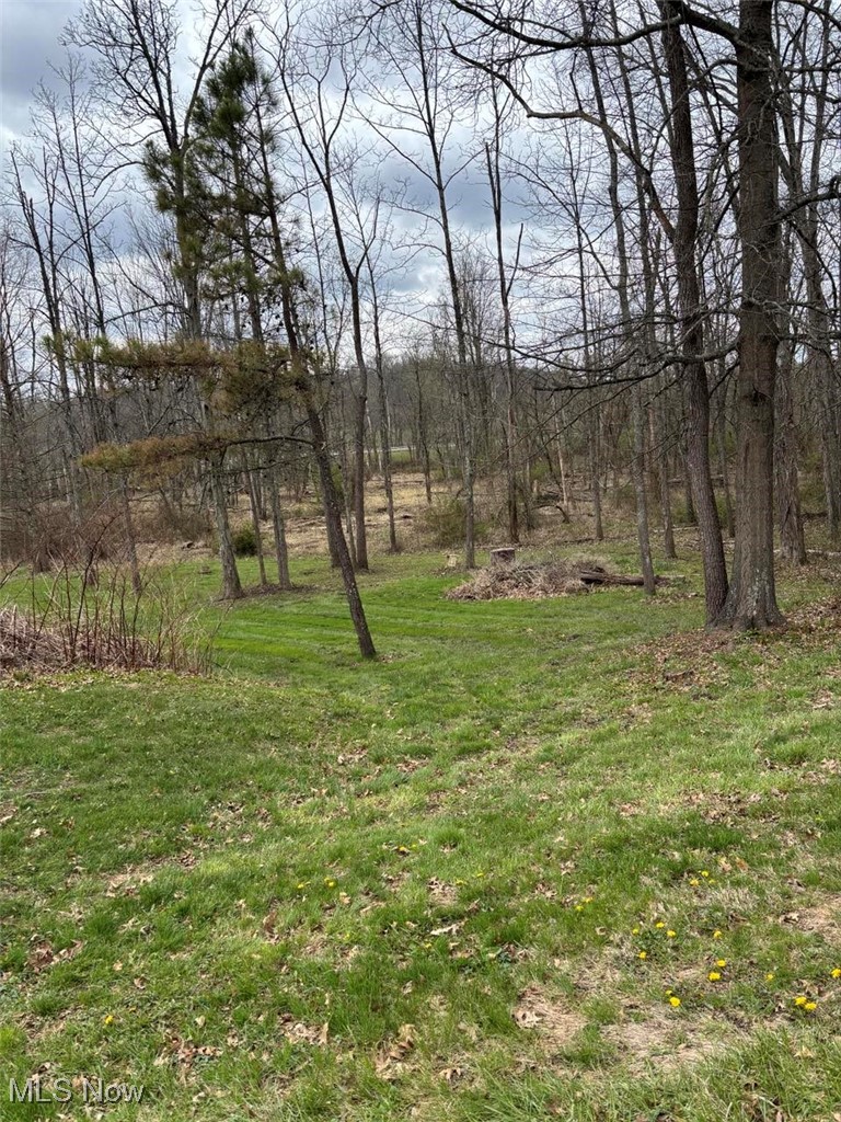 13516 Old Glory Rd Property Photo 9
