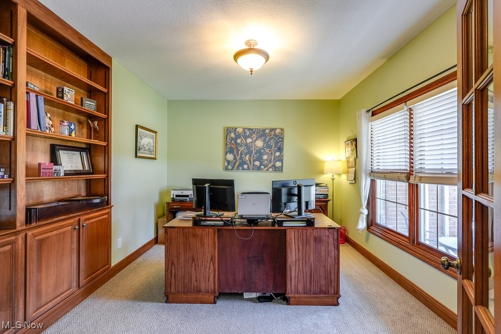 5027 Lake Breeze Landing Property Photo 4