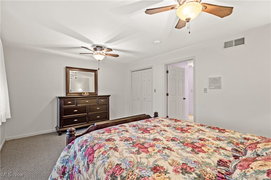 52 Hilda Circle Property Photo 33