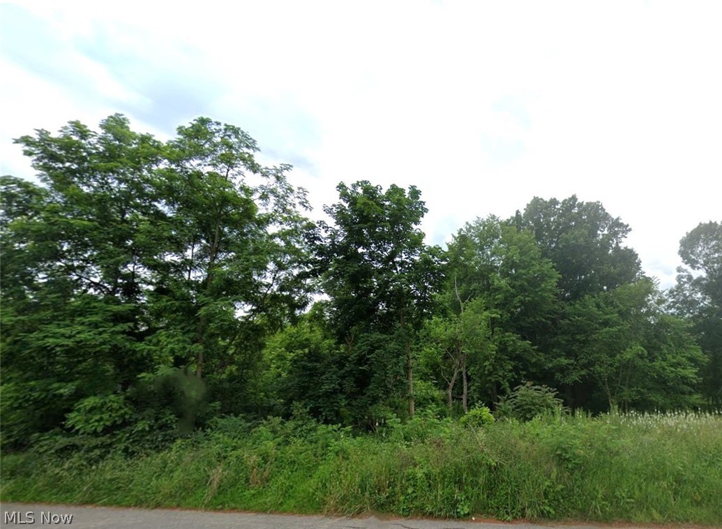 Lot 25 Forest Avenue Se Property Photo 1