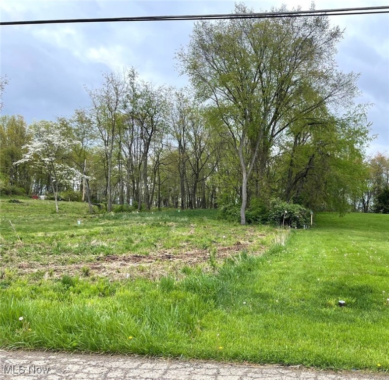 Lot 24 Candell Avenue SW Property Photo 1