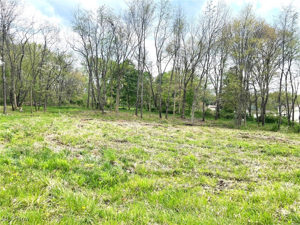 Lot #22 Forest Avenue SE Property Photo 1