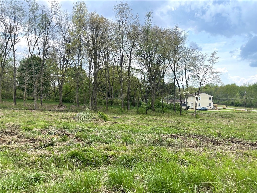 Lot 21 Forest Avenue SE Property Photo 1