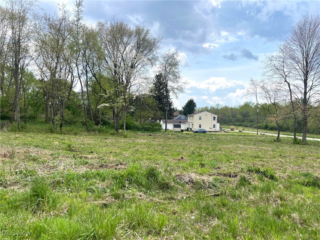 Lot# 20 Forest Avenue Se Property Photo 1