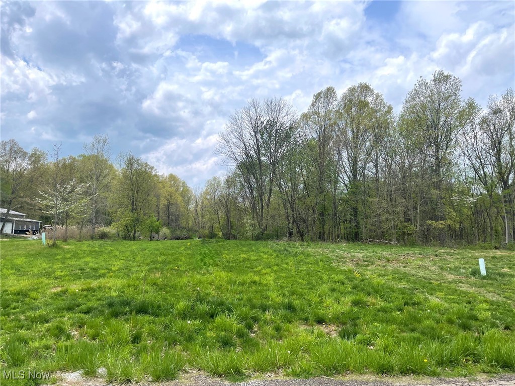 Lot 19 Candell Street Se Property Photo 1