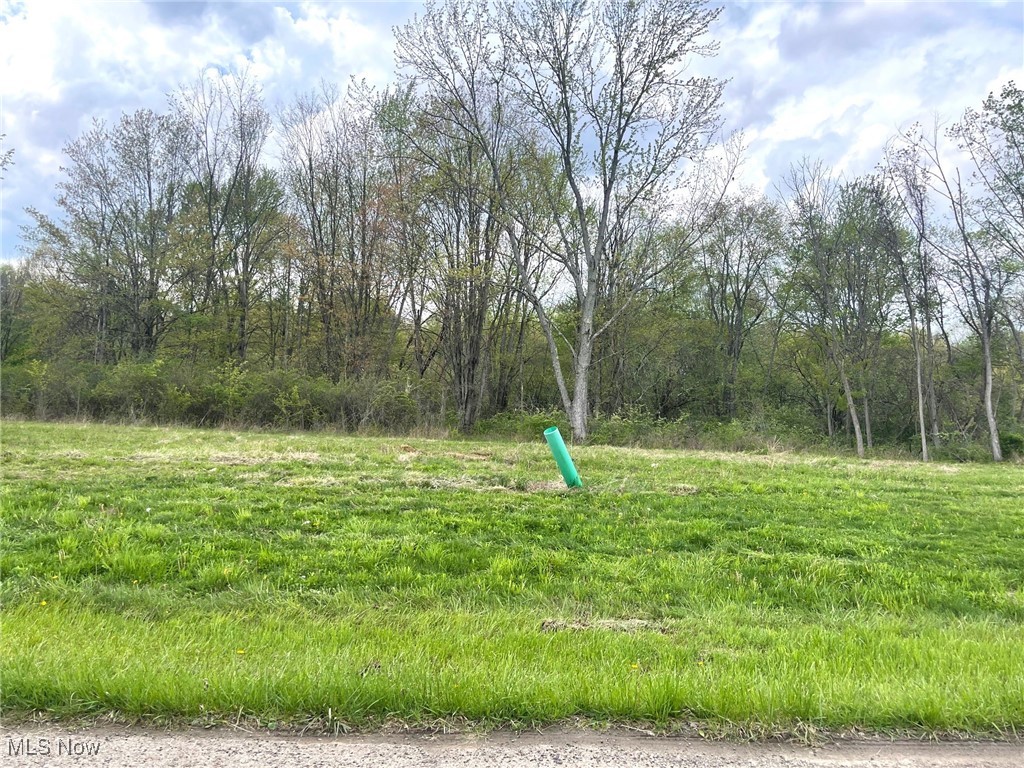 Lot# 12 Candell Street Se Property Photo 1