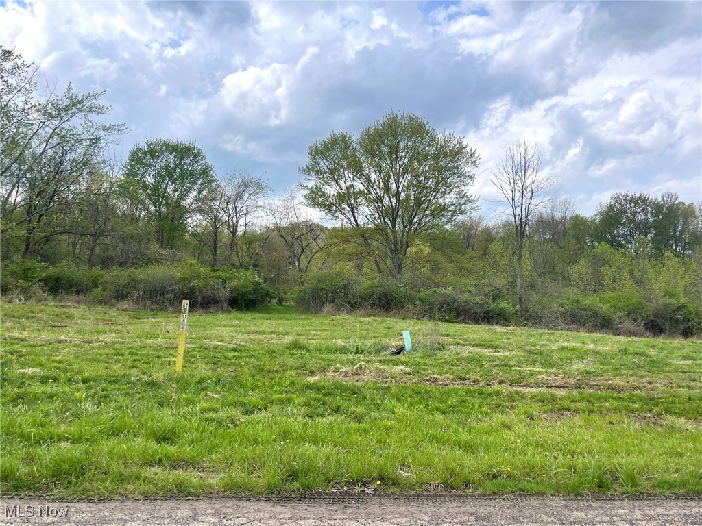 Lot# 8 Candell Street SE Property Photo 1