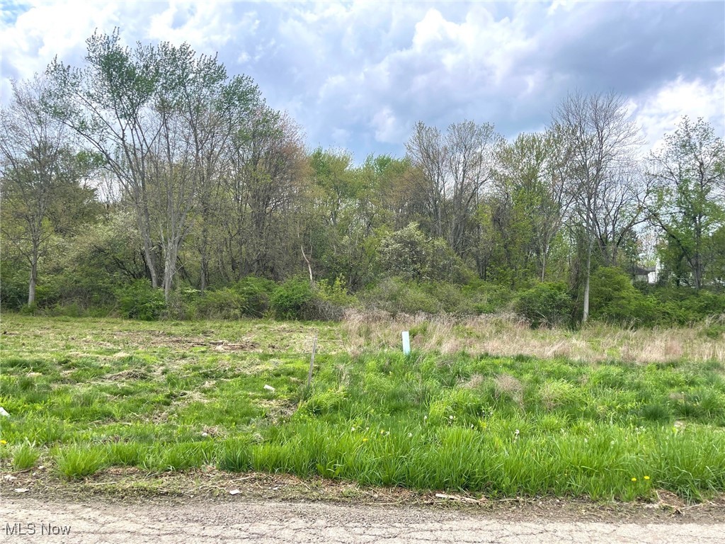 Lot# 5 Candell Street SE Property Photo 1