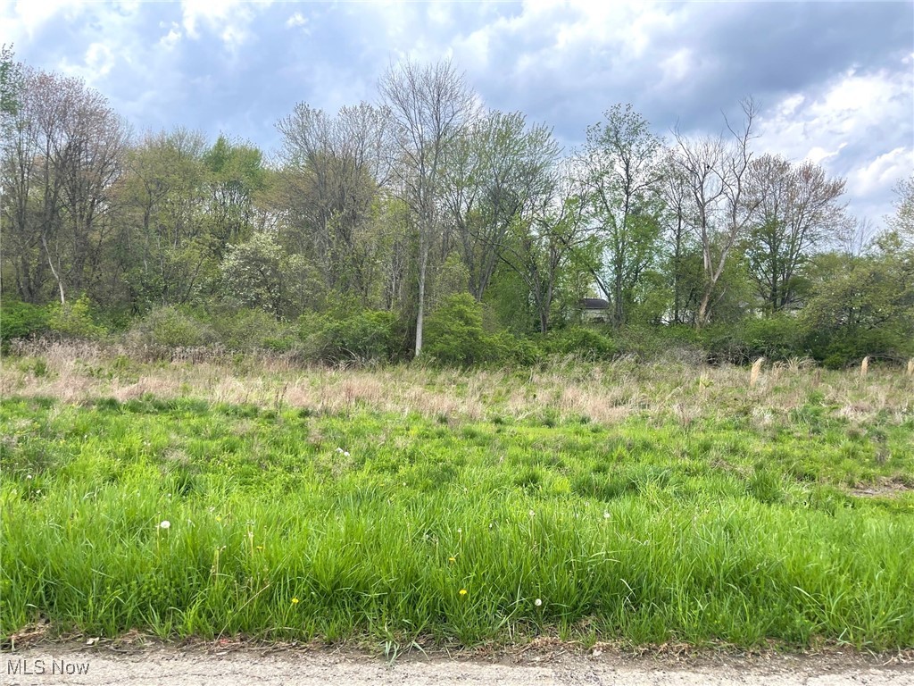 Lot# 4 Candell Street SE Property Photo 1