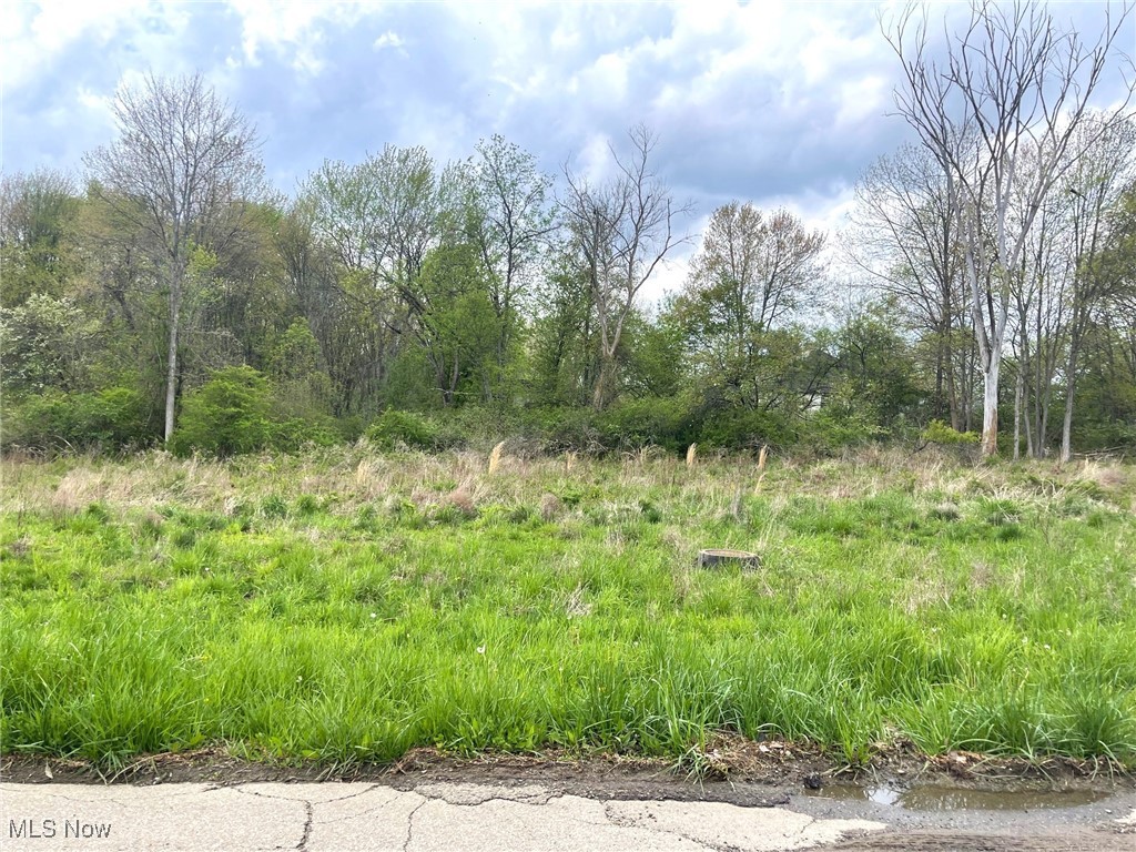 Lot# 3 Candell Street SE Property Photo 1