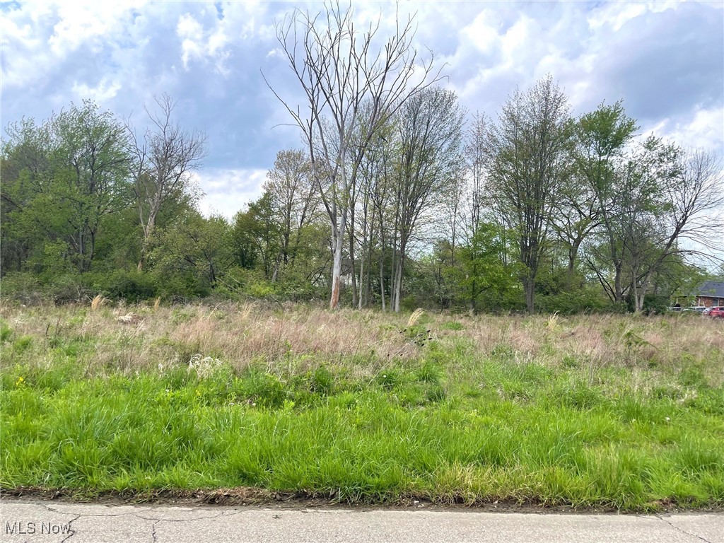 Lot# 2 Candell Street SE Property Photo 1