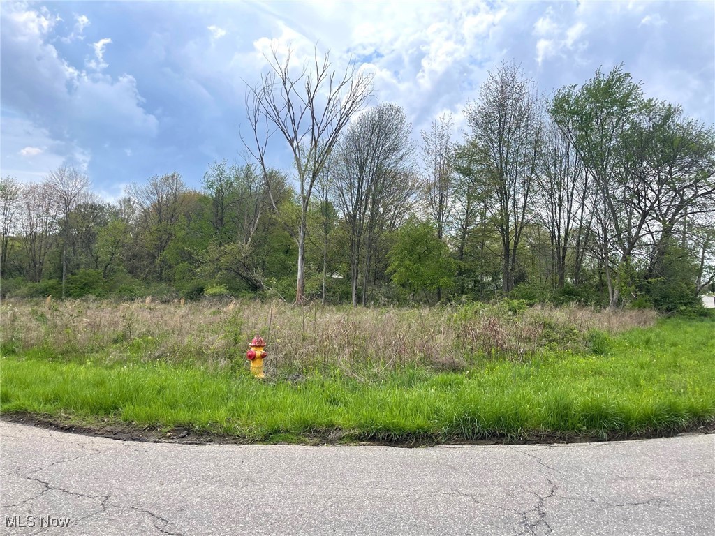 Lot# 1 Candell Street Se Property Photo 1