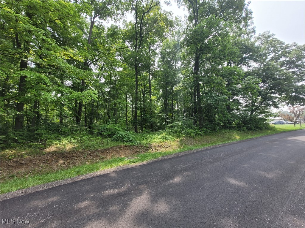 1246 Laurel Drive Property Photo 1