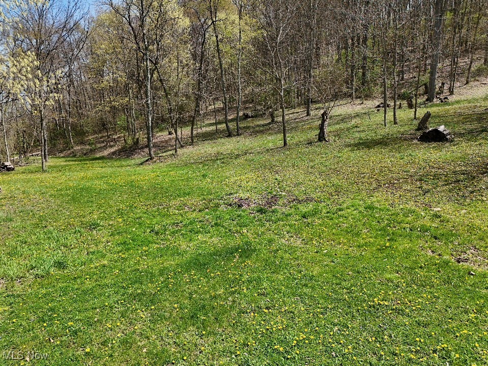 Cr-39 Property Photo 4