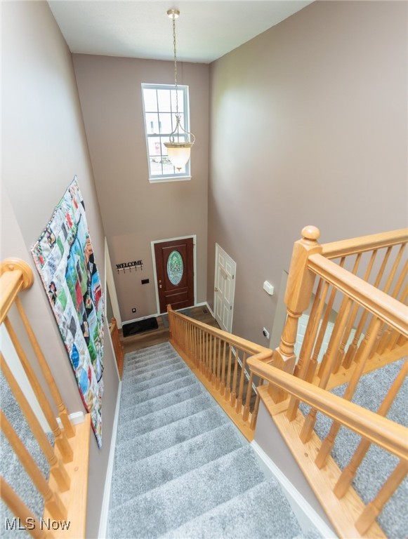 4928 Treeline Drive Property Photo 4