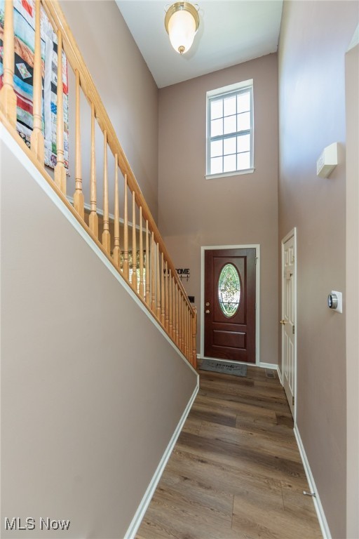 4928 Treeline Drive Property Photo 5