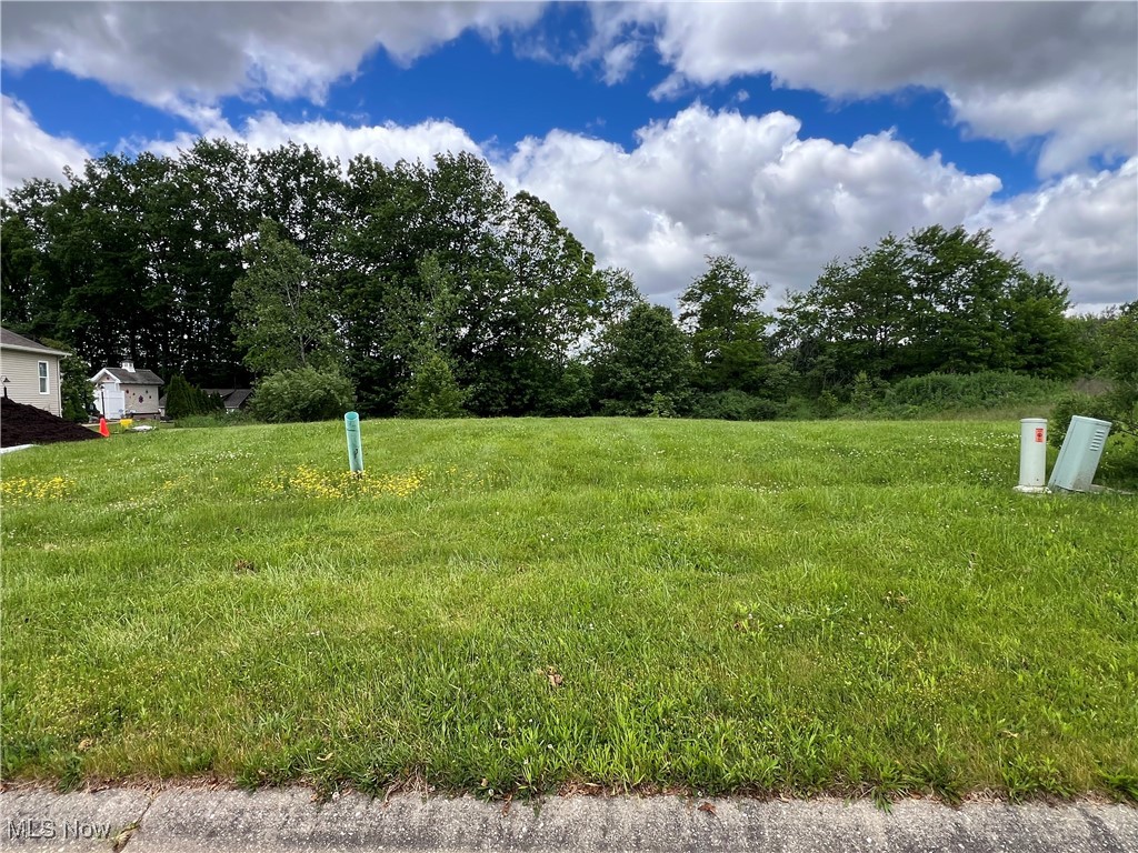 4703 Stevie Avenue Sw Property Photo 2