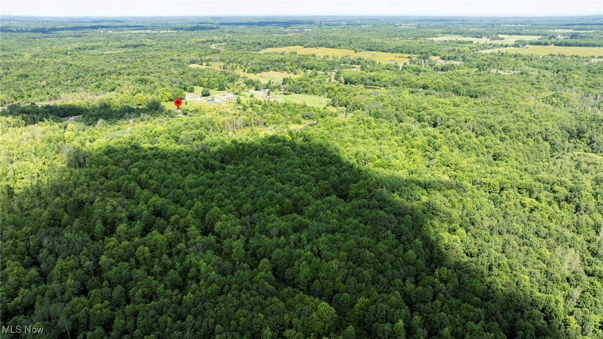 876 Clay Road Property Photo 7