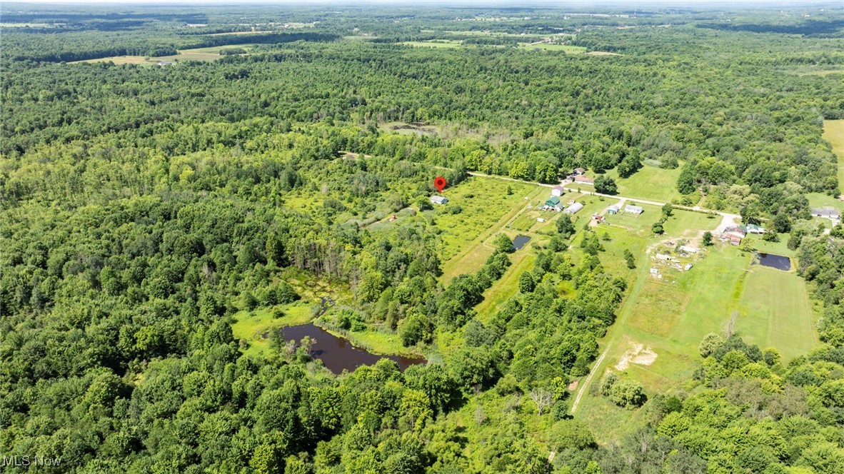 876 Clay Road Property Photo 11