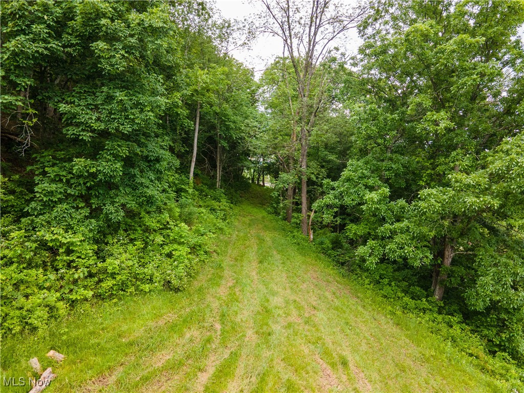 31647 Charleston Road Property Photo 4