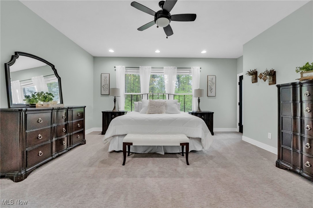 10905 Scranton Woods Trail Property Photo 15